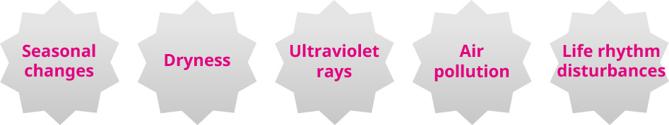 Seasonal changes | Dryness | Ultraviolet rays | Air pollution | Life rhythm disturbances